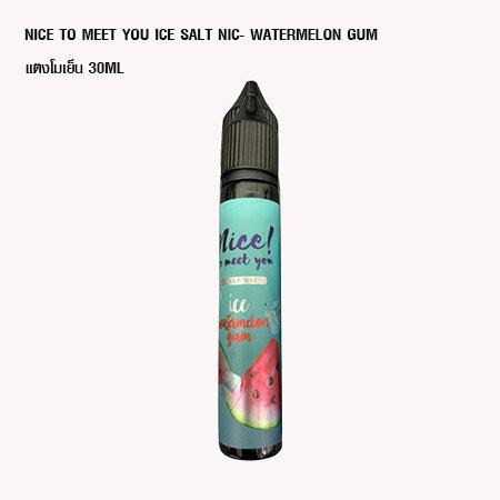 Nice to meet you Watermelon Ice Salt nic