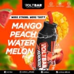 Voltbar 10000 mango peach watermelon