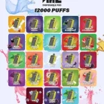 กลิ่น VMC 12000 Puffs